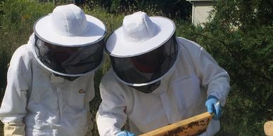 Honey bees