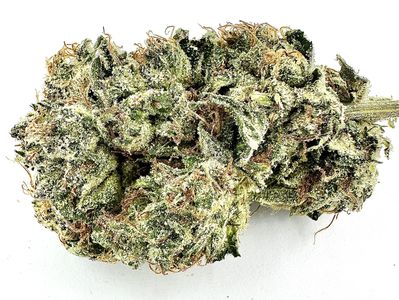 Close-up of a cannabis bud.