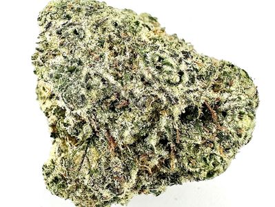 Close-up of a dense cannabis bud covered in trichomes.