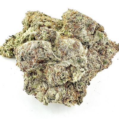 Close-up of a cannabis bud.
