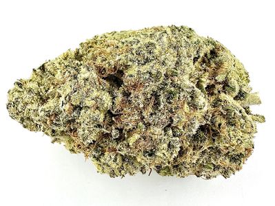 Close-up of a cannabis bud.