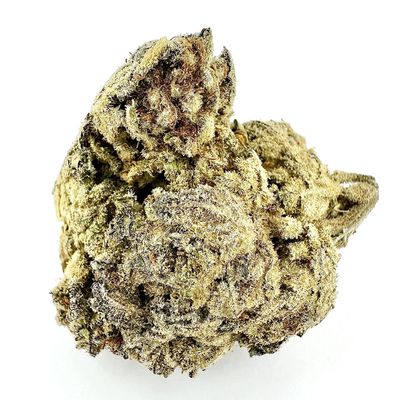 Close-up of a cannabis bud.