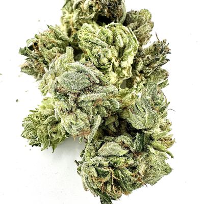 Close-up of green cannabis buds with trichomes on a white background.