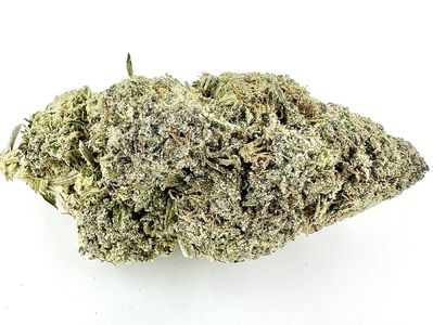 Close-up of a cannabis bud.