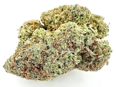 Close-up of cannabis buds.