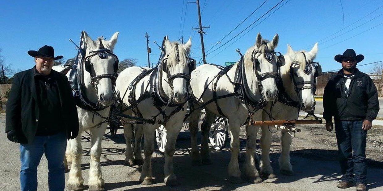 Classic Carriage Company draft horses and cowboys. 