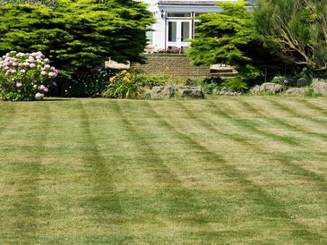 Lawn Care Service In Rockwall County, Fate, Texas