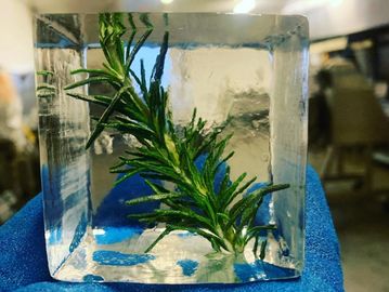 Herb clear ice cube
