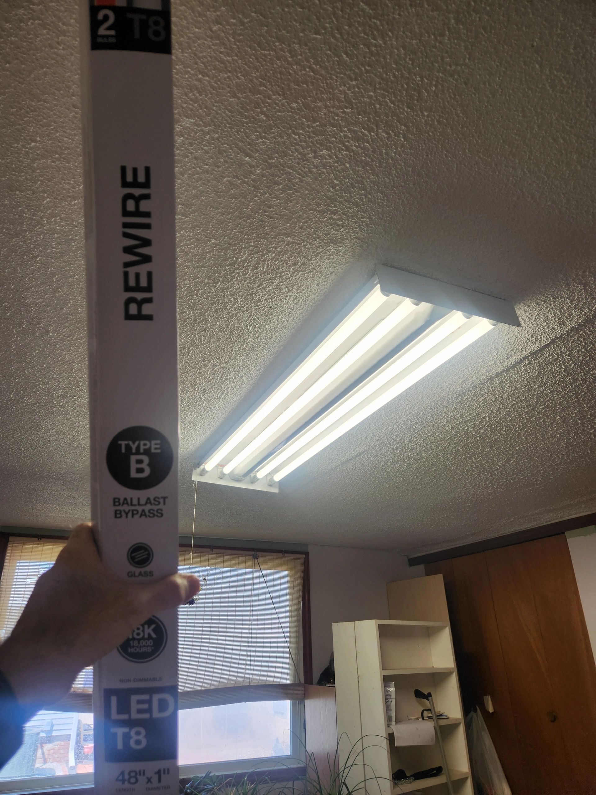 Hand holding LED T8 light beside ceiling fluorescent lights.