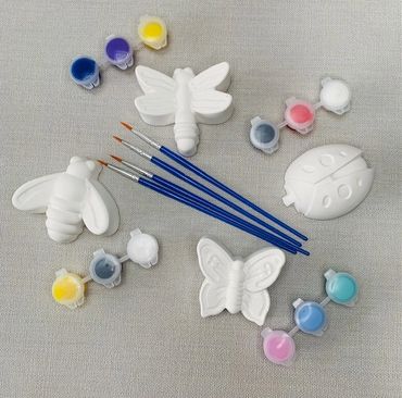 Insect Plaster of Paris set