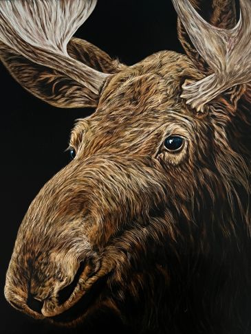 Close-up of a moose's head with detailed fur and antlers.