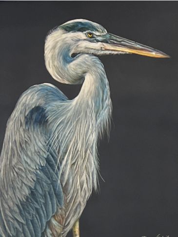 Close-up painting of a heron bird.