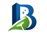 BrightWorks Cleaning Solutions LLC
