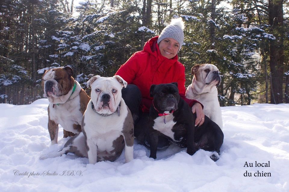 Contact - Au Local du Chien - Marie-Ève -  Albert - Béatrice - Adèle - Maurice