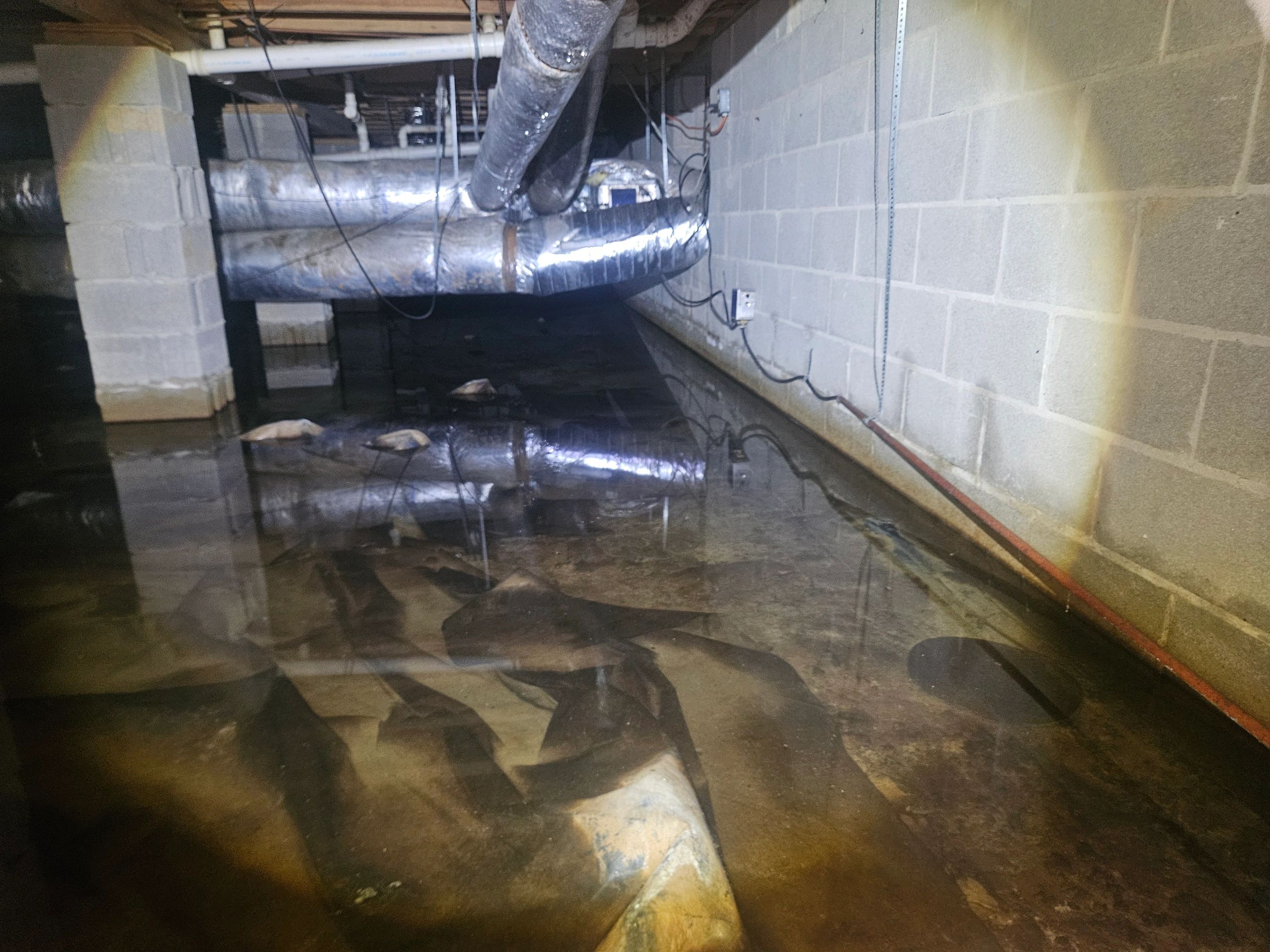 The Ultimate Guide to Crawl Space Waterproofing