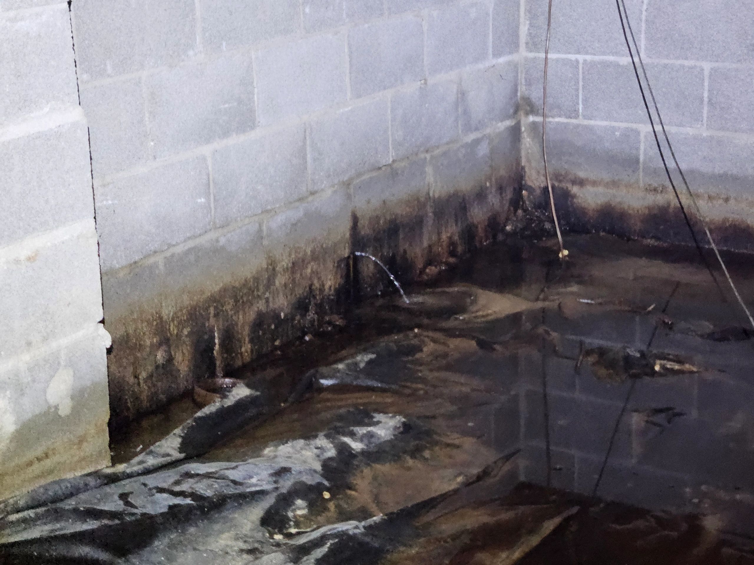 The Ultimate Guide to Waterproofing Solutions for Homes