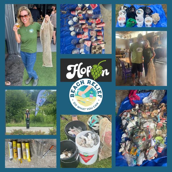 Community beach cleanup effort with collected trash and volunteers.