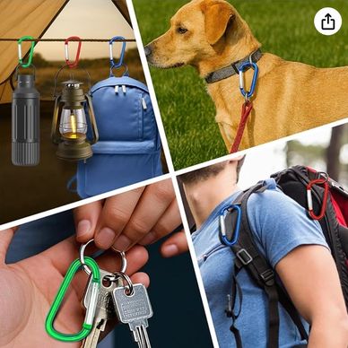 Carabiner Clips Multi Size Pack
