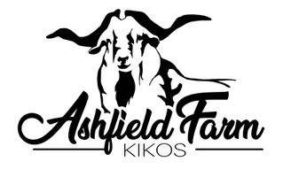Ashfield Farm Kiko's