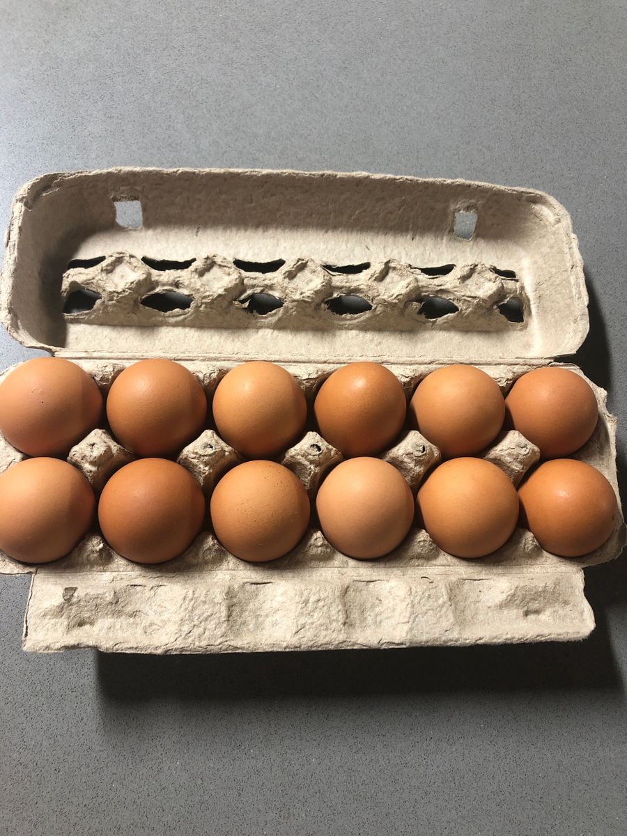 Cage Free Florida Eggs dozen