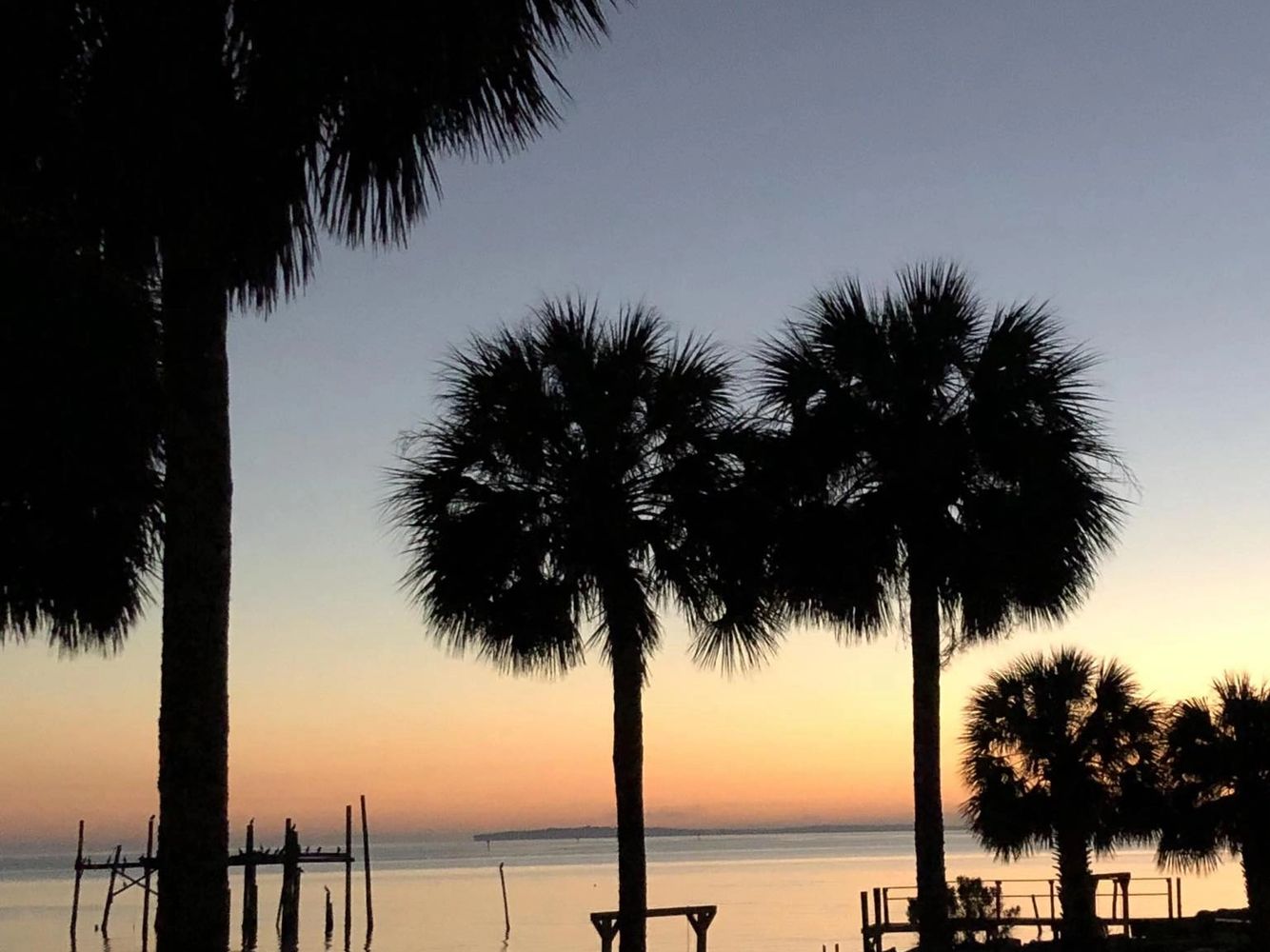 Gulf of Mexico view, palm trees, sunset, Honeymoon cottage, Cedar Key vacation rental, sunset view.