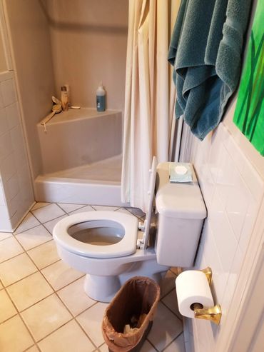 Accessible Design - Bathroom Remodel - Before