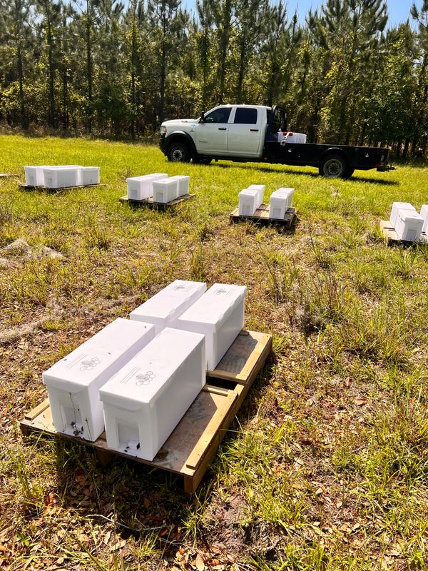 White boxes on pallets in a grassy field with a white truck in the background.