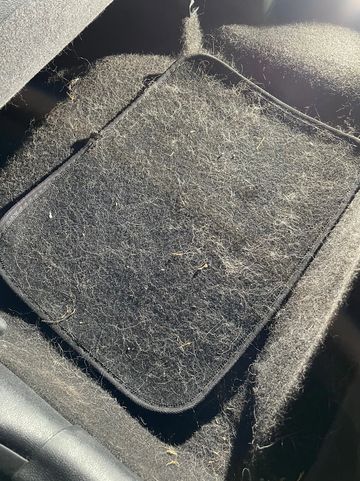 Car Detailing car carpet and mat filled with pet hair 