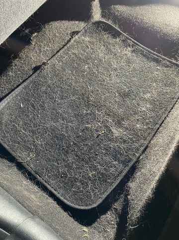 Car Detailing car carpet and mat filled with pet hair 