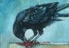 Raven Feasting - Oil 6x6 mounted on a 1.5" depth cradle panel ready to hang $135