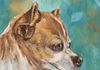 Nado The Applehead Chihuahua -Oil 6x6 mounted on a 1.5" depth cradle panel ready to hang $135