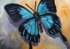 Papilio Ulysses Butterfly - Oil 6x6 mounted on a 1.5" depth cradle panel ready to hang SOLD