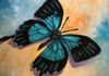 Papilio Ulysses Butterfly - Oil 6x6 mounted on a 1.5" depth cradle panel ready to hang $135 SOLD