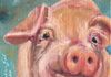Oink Oink Little Pig - Oil 6 x 6 mounted on a 1.5" depth cradle panel ready to hang $135