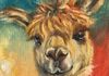 Happy Alpaca -  Oil 6x6 mounted on a 1.5" depth cradle panel ready to hang $135