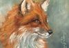 Foxy Fox - Oil 6x6 mounted on a 1.5" depth cradle panel ready to hang $135