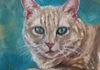 Taco the Cat - Oil 6x6 mounted on a 1.5" depth cradle panel ready to hang $135