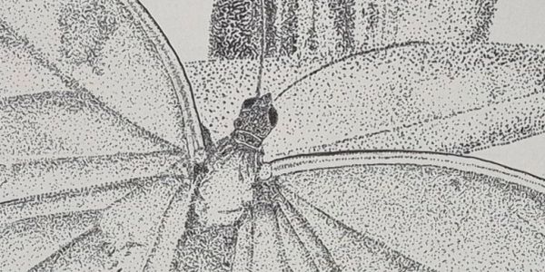 Close-up of a detailed dot art butterfly drawing.