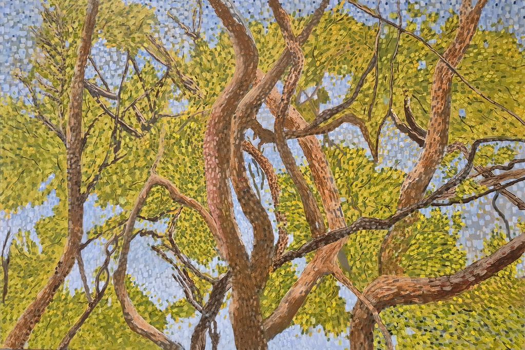Tea Trees