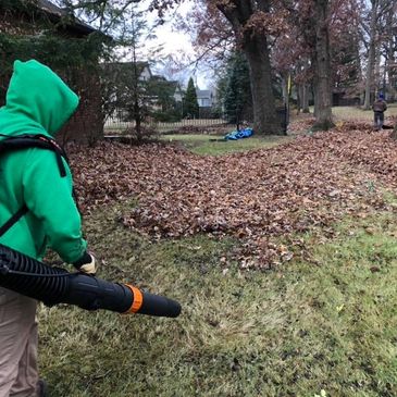 a person using a leaf blower to clear fallen leaves from a grassy area surrounded by trees