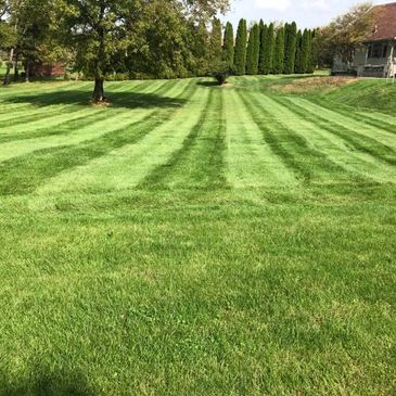 Healthy residential lawn after aeration and drainage services by J.E. Landscaping in Valparaiso IN