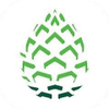 Pinecone research 