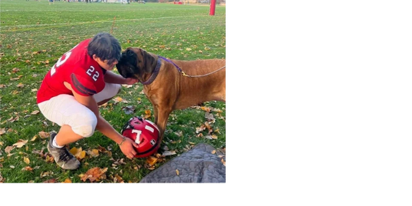 Swagger, the Cleveland Browns' beloved bullmastiff mascot, has passed away  