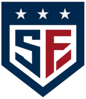 Party With Stars And Stripes DJ