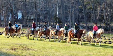 Programs | Ironstone Farm