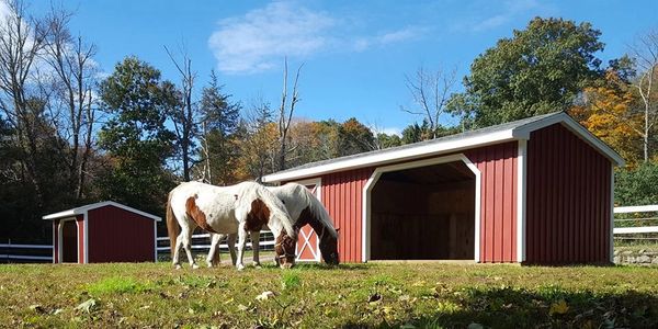 Programs | Ironstone Farm