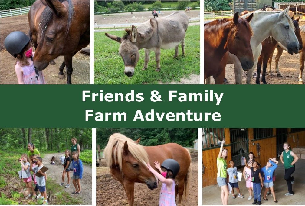 Programs Ironstone Farm