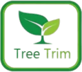 Tree Trim Central Queensland 

0478 038 224 