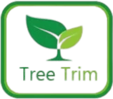 Tree Trim Central Queensland 

0478 038 224 