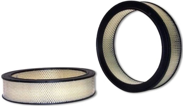 WIX FILTERS:42231